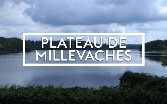 Plateau des Mille Vaches