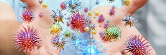 Maladies à déclaration obligatoire Maladies à déclaration obligatoire